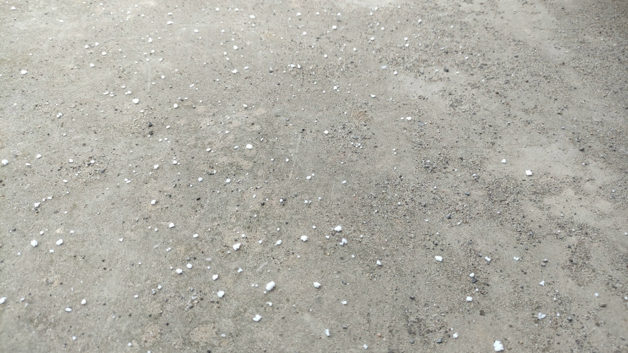 В Астраханской области зафиксировали первые снежинки Социальная страница «Мой Ахтубинск» опубликовал...